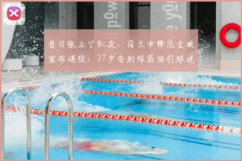 昔日张玉宁队友、荷兰中锋范金狼宣布退役,37岁告别绿茵场引球迷回忆